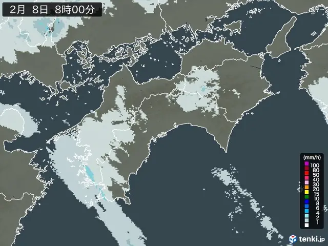 四国地方の雨雲レーダー - 過去の天気 2025年02月08日 - 日本気象協会 tenki.jp