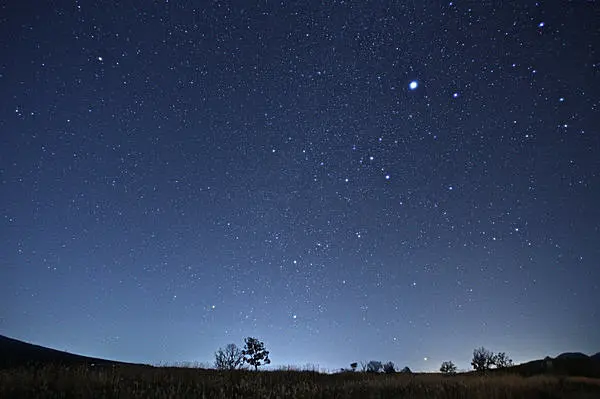 見ると寿命が75日延びる 北半球のまれ星 カノープス 布良星を観測できる季節です Tenki Jpサプリ 2016年02月19日 日本気象協会 Tenki Jp