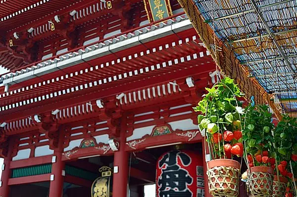 1日のお詣りで126年分のご利益 都内最古のお寺 浅草寺の ほおずき市 へ出かけよう Tenki Jpサプリ 16年07月09日 日本気象協会 Tenki Jp