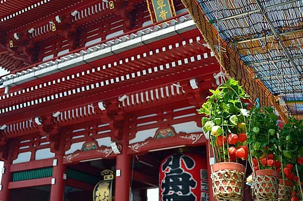 1日のお詣りで126年分のご利益 都内最古のお寺 浅草寺の ほおずき市 へ出かけよう Tenki Jpサプリ 16年07月09日 日本気象協会 Tenki Jp 1日のお詣りで126年分のご利益 都内最古のお寺 浅草寺の ほおずき市 へ出かけよう Tenki Jpサプリ 16年07月09日 日本気象協会 Tenki Jp