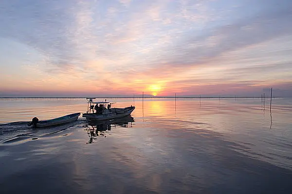豊饒の海 有明海には怪魚 珍生物がいっぱい Tenki Jpサプリ 16年08月01日 日本気象協会 Tenki Jp 豊饒の海 有明海には怪魚 珍生物がいっぱい Tenki Jpサプリ 16年08月01日 日本気象協会 Tenki Jp