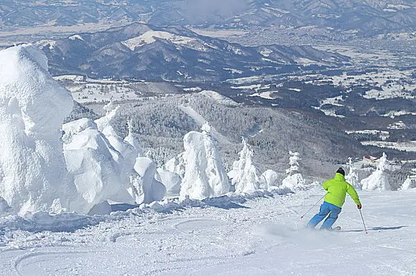 今日から52日限定! スノーモンスター「樹氷」が幻想的にライト 今日から52日限定! スノーモンスター「樹氷」が幻想的にライト