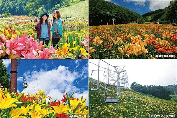 夏こそ スキー場がおもしろい Vol 1 Tenki Jpサプリ 17年07月28日 日本気象協会 Tenki Jp