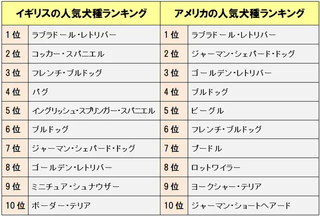 戌年にちなんで 犬 にまつわるアレコレをランキングでご紹介 季節 暮らしの話題 18年01月03日 日本気象協会 Tenki Jp