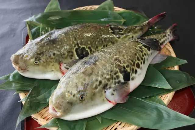 小売 福が来ますように！【フグ】釣好きの心をくすぐる魚のピンズ（全12種類）