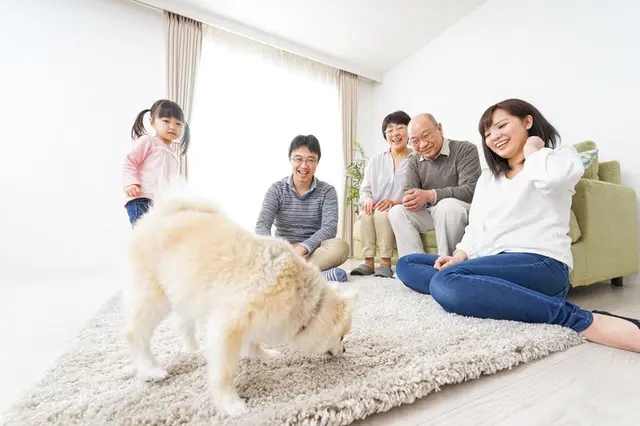散歩に行けない雨の日 室内犬のストレスを解消する4つの遊び方 Tenki Jpサプリ 18年05月30日 日本気象協会 Tenki Jp 散歩に行けない雨の日 室内犬のストレスを解消する4つの遊び方 Tenki Jpサプリ 18年05月30日 日本気象協会 Tenki Jp