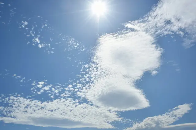 初夏を感じる風物詩―空、光、ひとときの命(季節・暮らしの話題 2018年05月25日) - 日本気象協会 tenki.jp