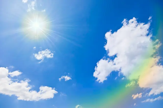 初夏を感じる風物詩 空 光 ひとときの命 Tenki Jpサプリ 18年05月25日 日本気象協会 Tenki Jp