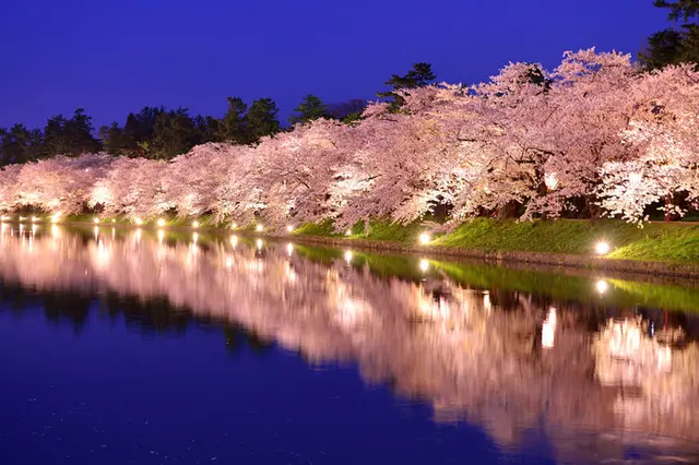 桜の季節到来 お花見の名所 道の駅4選 Tenki Jpサプリ 19年03月22日 日本気象協会 Tenki Jp