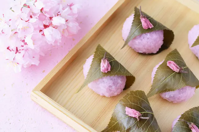 知って得する季語 桜 サクラ Sakura Tenki Jpサプリ 19年03月24日 日本気象協会 Tenki Jp