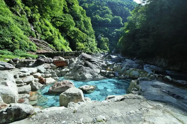 黒 セール 薙 温泉 水着