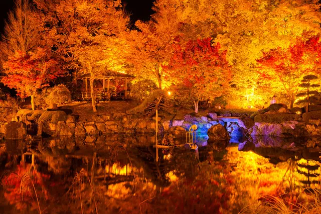 北関東の紅葉を見に行こう 夜のライトアップも美しい紅葉名所４選 Tenki Jpサプリ 19年10月02日 日本気象協会 Tenki Jp