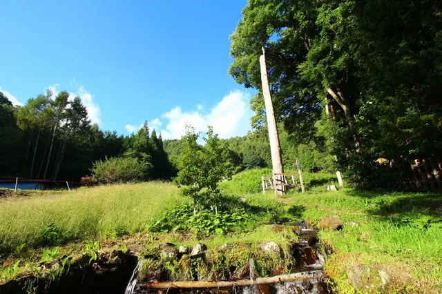 諏訪の森と湖にひしめくのは古代の精霊？それとも？「謎」多き