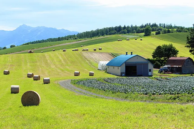 晴れた日をねらって牧草を収穫。北海道の牧場は大忙し(季節・暮らしの話題 2020年06月15日) - 日本気象協会 tenki.jp