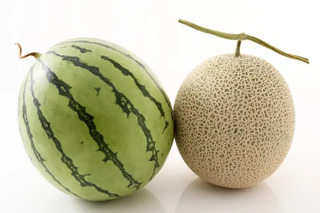 野菜と果物の違いとは メロン スイカ キュウリやトマトは 季節 暮らしの話題 年06月28日 日本気象協会 Tenki Jp
