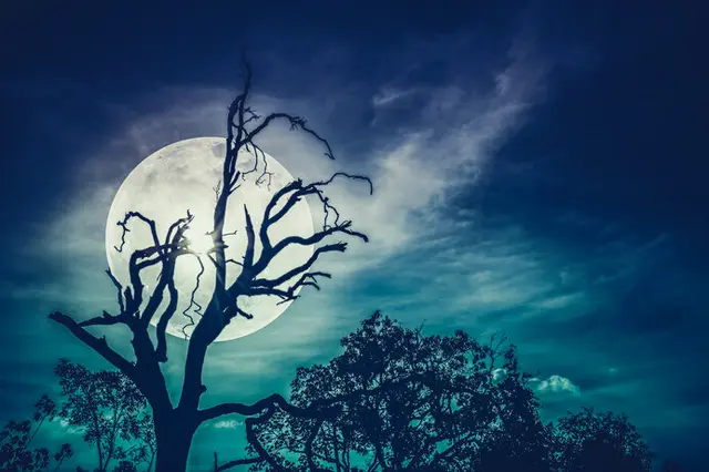 年のハロウィンは満月です ブルームーンはめったに見られないって本当 Tenki Jpサプリ 年10月27日 日本気象協会 Tenki Jp