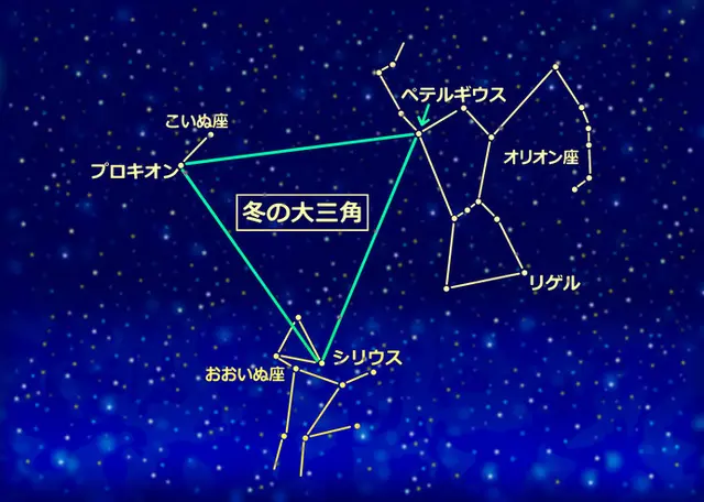 冬の大三角形の見つけかたは？全天一明るい星「シリウス」は２つある ...