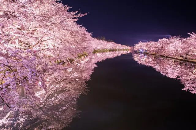 花といえば桜 お花見の起源と 季語 花疲れ に込められた意味とは 季節 暮らしの話題 21年03月23日 日本気象協会 Tenki Jp