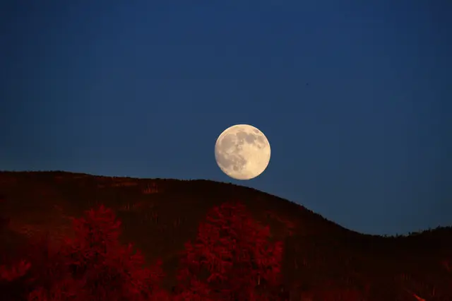 満月は8年ぶり 一年でいちばん美しい月 9月21日は 中秋の名月 です Tenki Jpサプリ 21年09月14日 日本気象協会 Tenki Jp