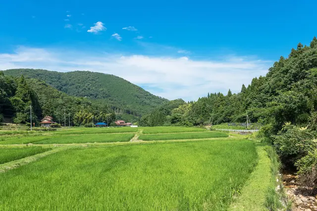 暮らしの原点「里山」って気づけば「SDGs」？ だから感じる