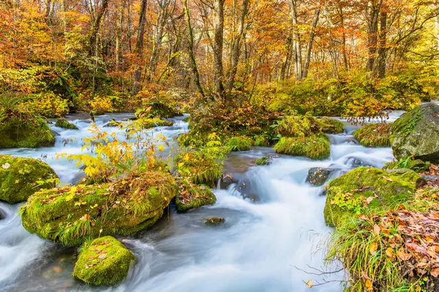 東北の紅葉に逢いに行こう！絶景を楽しむ紅葉名所【青森・秋田・山形】(季節・暮らしの話題 2022年10月16日) - 日本気象協会 tenki.jp