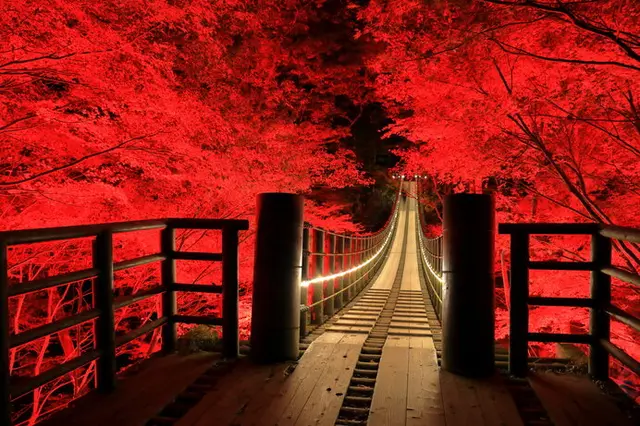 美しい橋が架かる紅葉名所〜絶景に包まれて橋を渡ろう〜【関東