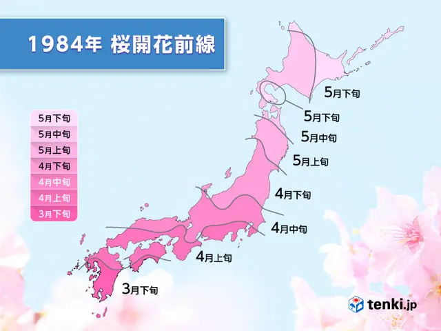 東京の開花が4月中旬⁉ 40年前の桜開花前線がスゴイ(季節・暮らしの話題 ...