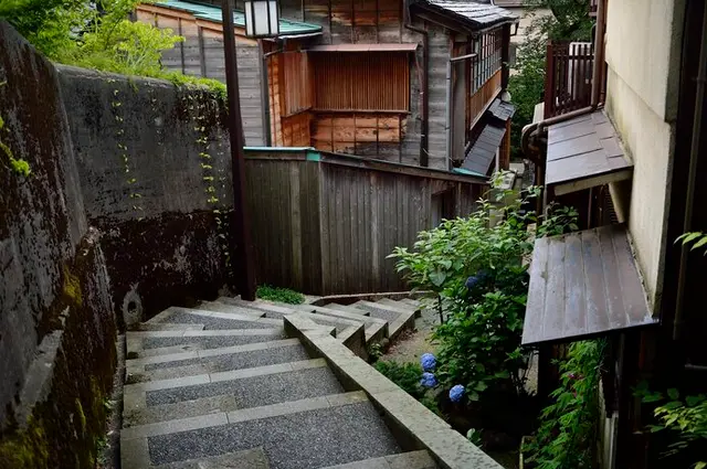 明と暗が交錯する早春。夏目漱石の最高傑作『明暗』をひもといて 明と暗が交錯する早春。夏目漱石の最高傑作『明暗』をひもといて