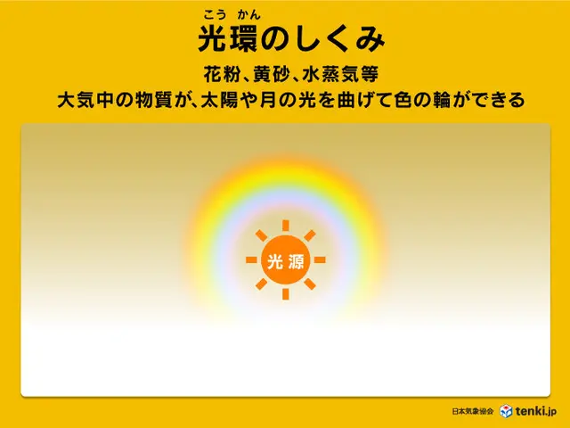 花粉大量飛散のサイン「花粉光環」 なぜ虹色の光の輪が出現？(季節・暮らしの話題 2024年03月07日) - 日本気象協会 tenki.jp