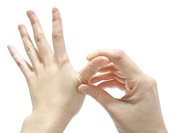 手は人体の縮小版 指ヨガ で 蒸し暑い夏のストレスを 全身丸ごとコリほぐす Tenki Jpサプリ 15年08月10日 日本気象協会 Tenki Jp