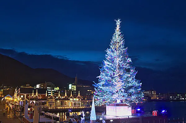 海に浮かぶツリーが美しすぎ !! 函館クリスマス・ファンタジーに行か